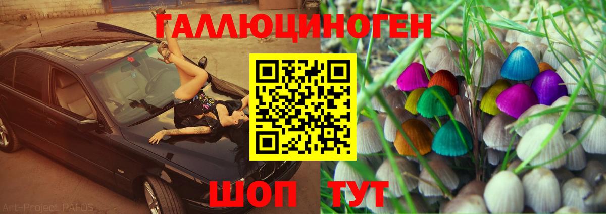 Псилоцибиновые грибы GOLDEN TEACHER  Вход с VPN  Псилоцибиновые грибы Magic Shrooms  Десногорск 